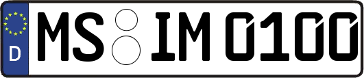 MS-IM0100