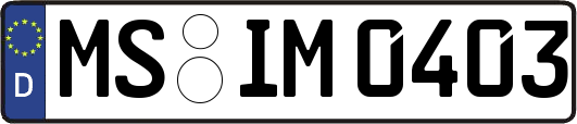 MS-IM0403