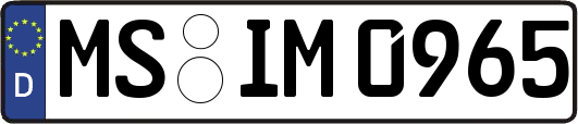MS-IM0965