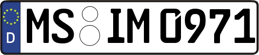 MS-IM0971