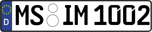 MS-IM1002
