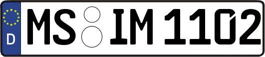 MS-IM1102