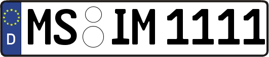 MS-IM1111