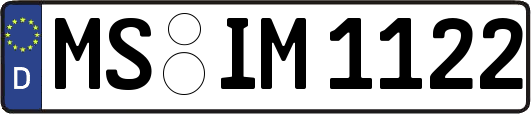 MS-IM1122