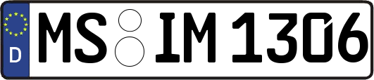 MS-IM1306