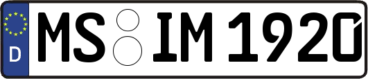 MS-IM1920