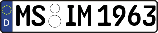 MS-IM1963