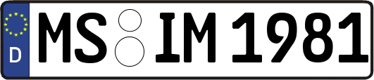MS-IM1981