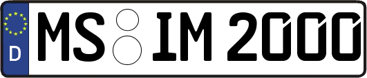 MS-IM2000