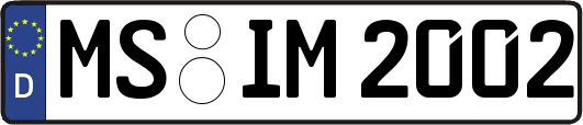 MS-IM2002
