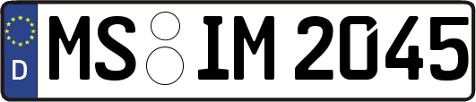MS-IM2045
