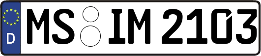 MS-IM2103