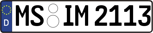 MS-IM2113