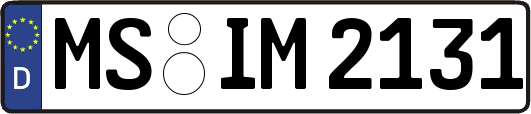 MS-IM2131