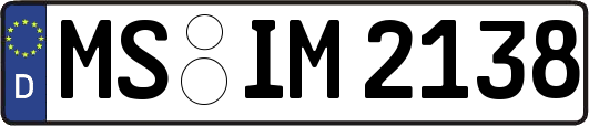 MS-IM2138