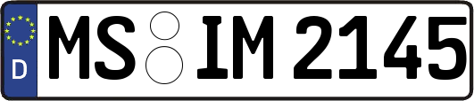MS-IM2145