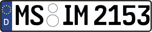 MS-IM2153