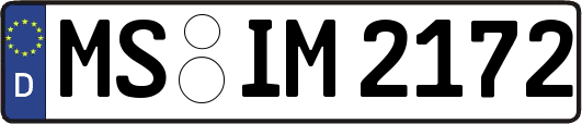 MS-IM2172
