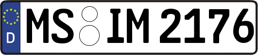 MS-IM2176
