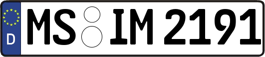 MS-IM2191