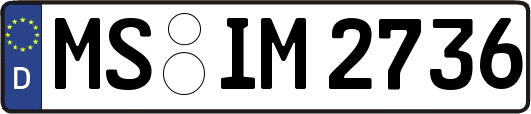 MS-IM2736