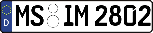 MS-IM2802