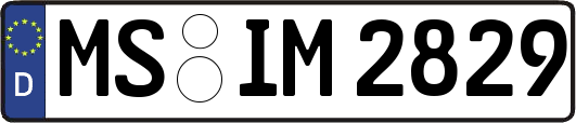 MS-IM2829