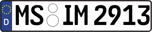MS-IM2913