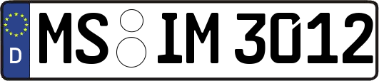 MS-IM3012