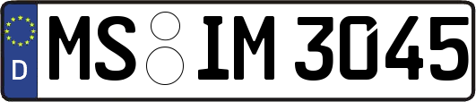 MS-IM3045
