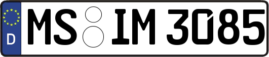 MS-IM3085
