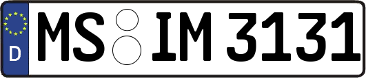 MS-IM3131