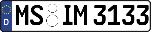 MS-IM3133