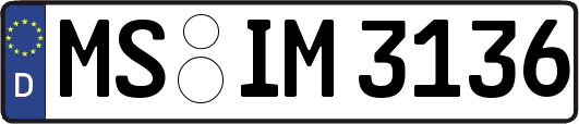 MS-IM3136
