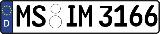 MS-IM3166