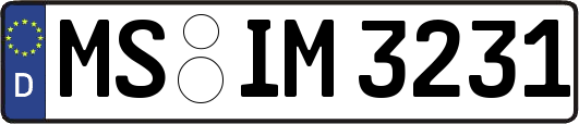 MS-IM3231