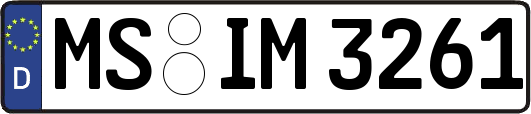 MS-IM3261