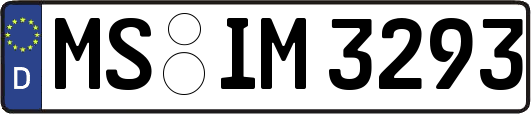 MS-IM3293