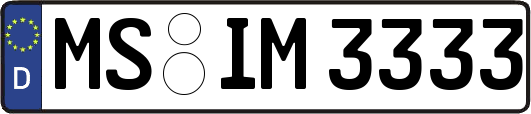 MS-IM3333