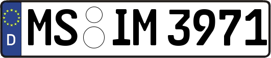 MS-IM3971