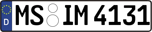 MS-IM4131