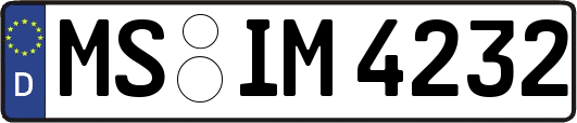 MS-IM4232