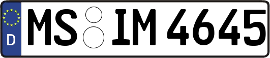 MS-IM4645