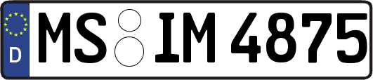 MS-IM4875