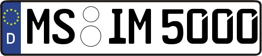 MS-IM5000