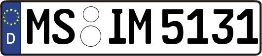 MS-IM5131