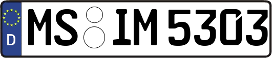 MS-IM5303