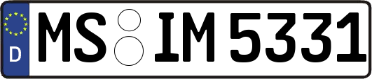 MS-IM5331