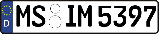 MS-IM5397