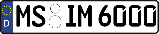 MS-IM6000